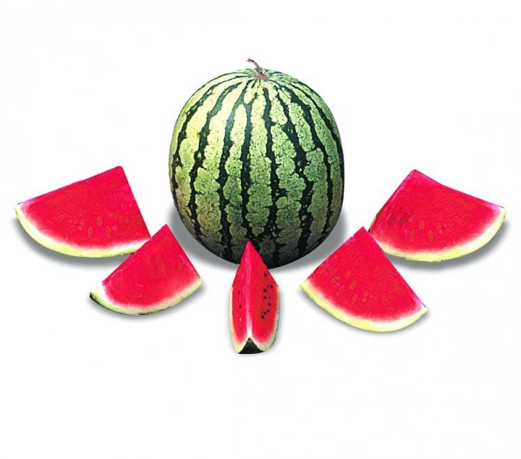 Watermelon (Sweet 16)